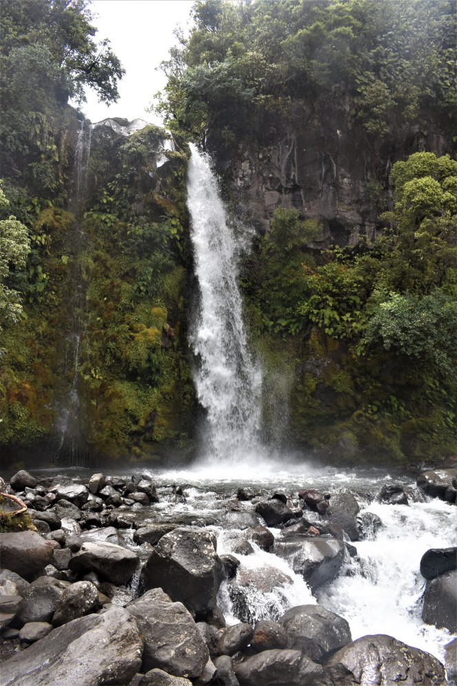 Dowson Falls, Mt Taranaki (8)